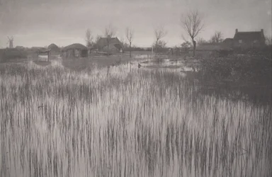 Una orilla juncosa, lámina XXXV de Vida y paisaje en los Norfolk Broads